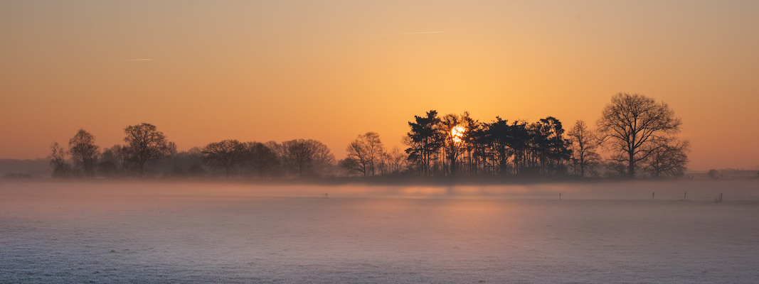 Misty frosty landscape